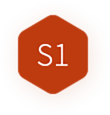 S1